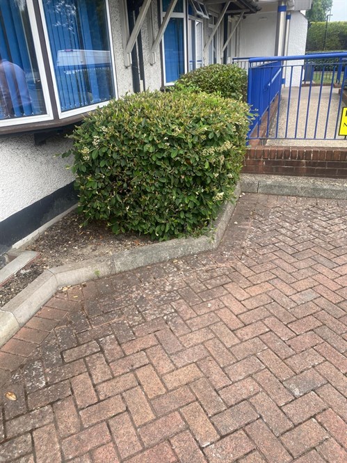 Selsdon Medical Practice, Croydon2